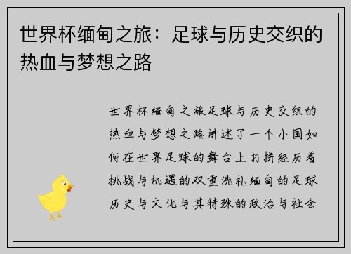 世界杯缅甸之旅：足球与历史交织的热血与梦想之路
